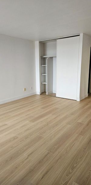 1 CH - 1 SDB - Montréal - $1,295 /mo - Photo 1