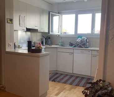 3.5 Zimmer, 75 m², EG - Foto 1