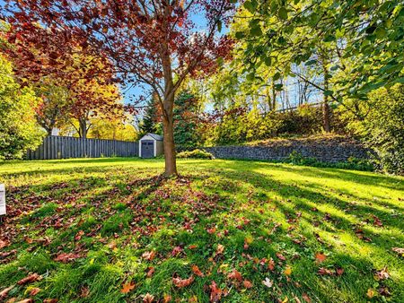 For Lease - 72 Monkswood Crescent Unit# Main Floor, Newmarket, Ontario - Photo 5