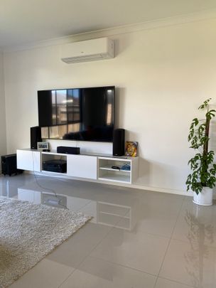 Palmview - Photo 1