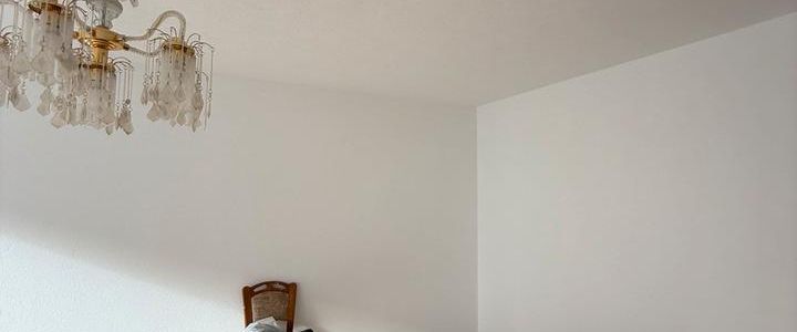 Vermiete renovierte 2 Zimmer Wohnung - Foto 1