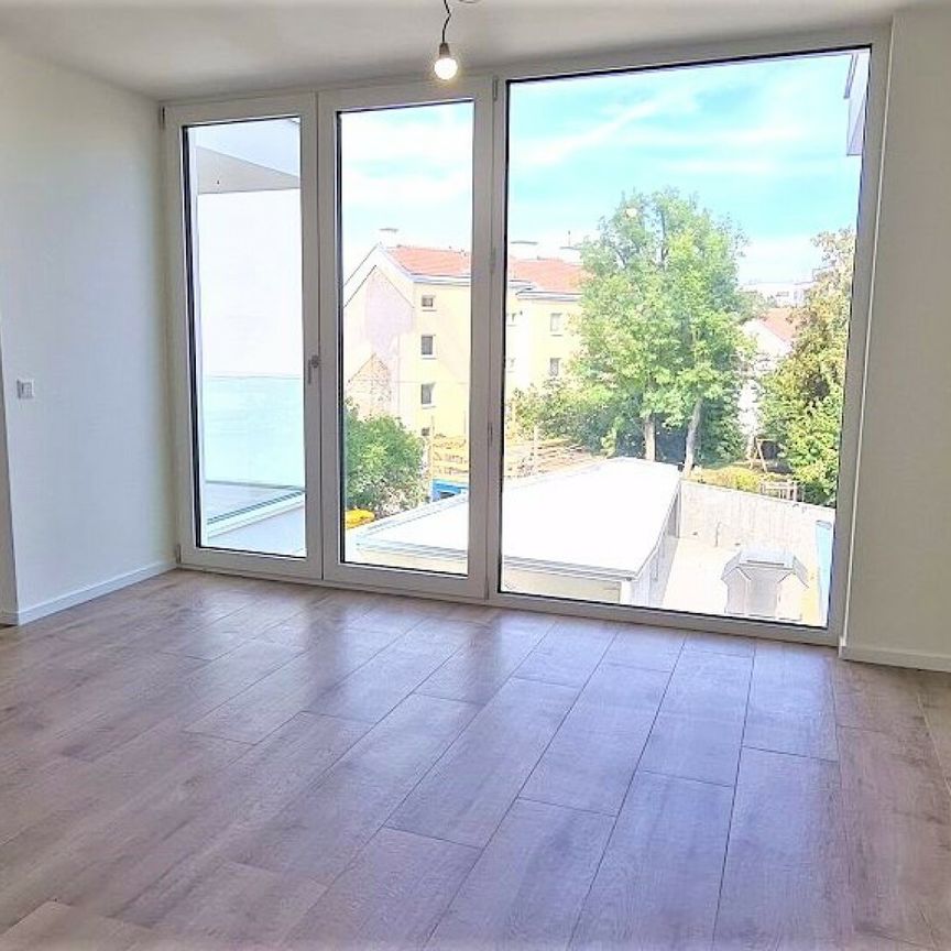 HOFRUHELAGE, JEDLESEE, 33 m2 Neubau, Einzelwohnraum, Komplettküche, Duschbad, Hofruhelage, 1. Liftstock, Anton-Bosch-Gasse - Photo 1