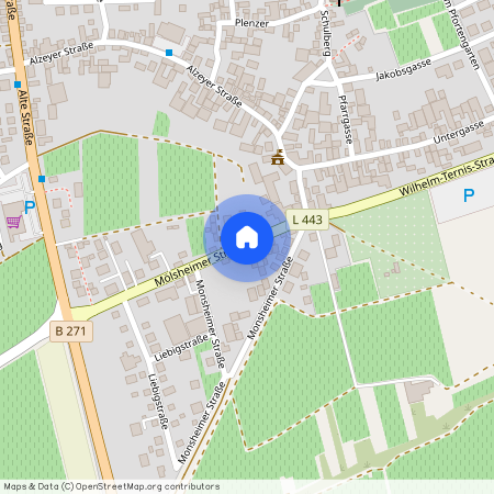 Mölsheimerstr., 12, 67592, Flörsheim-Dalsheim