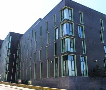 1 bedroom private hall to rent - Photo 1