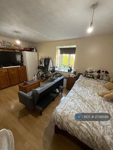 Studio to rent - Photo 3