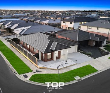 Experience Modern Family Living at Its Finest!! - Photo 5