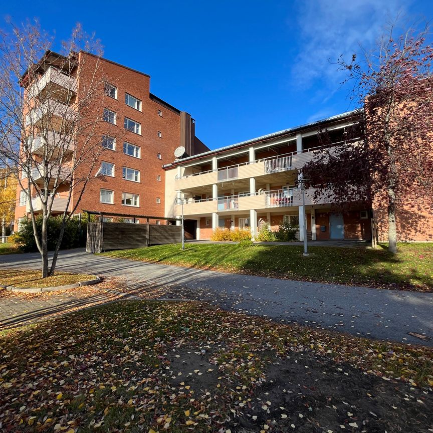 Stackgatan, Skellefteå - Foto 1