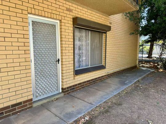 5/89 William Street, Norwood SA 5067 - Apartment For Rent | Domain - Photo 1