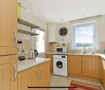Room in a Shared Flat, Ravenswood Avenue, EH16 - Photo 4