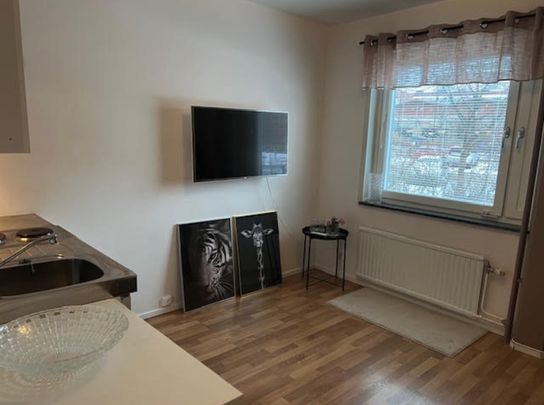 Handen - 1rok - tillsv - 9.000kr/mån - Foto 1