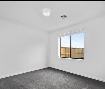 Winter Valley - Photo 6