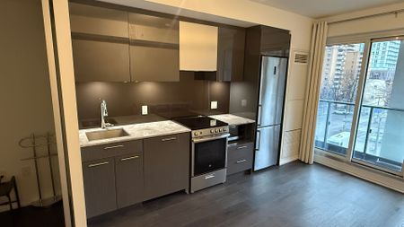 For Lease - 251 Jarvis Street Unit# 319, Toronto, Ontario - Photo 3