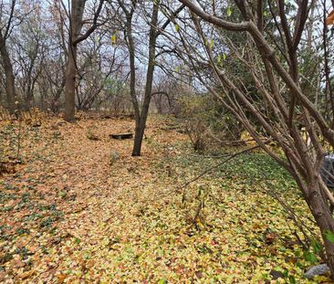 For Lease - 297 1/2 Crichton Street, New Edinburgh - Lindenlea, Ont... - Photo 1