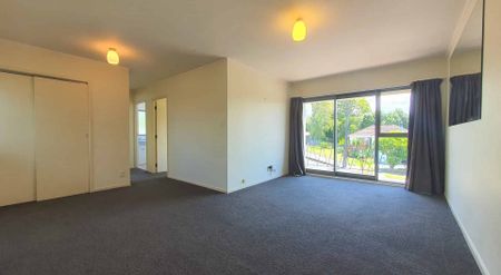 Spacious One Bedroom Apartment - Photo 2
