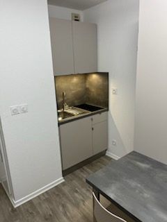 Location Appartement 1 pièce 20m² STRASBOURG 67000 - Photo 3