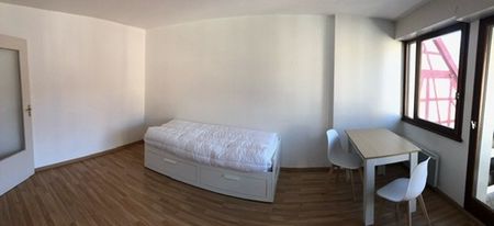 Appartement 1 pièce à Colmar-Centre - Photo 2