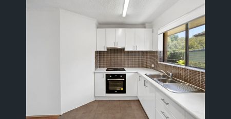 Top floor apartment with a quiet leafy outlook - Photo 3