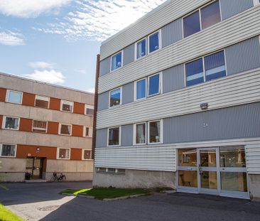 Hamnplan 2 A, 94161, Piteå - Photo 5