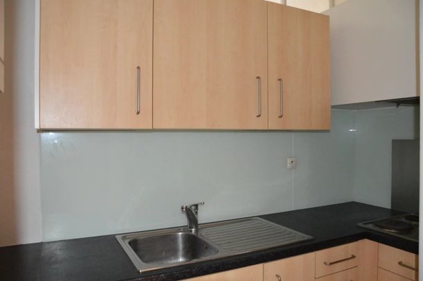 Location Appartement 2 pièces 50m² ALTKIRCH 68130 - Photo 1