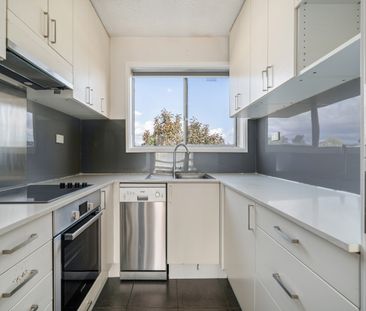 Light Filled updated Two Bedroom - Photo 2