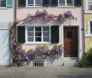 Exklusives Wohnen direkt am Rhein mit Blick auf die historische Altstadt - Photo 6