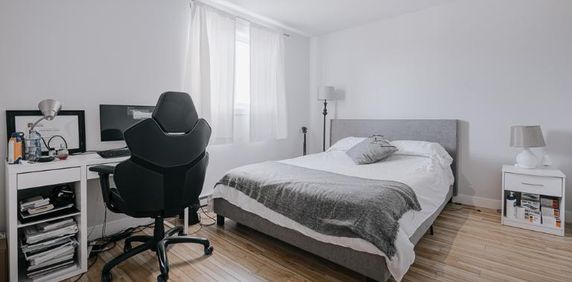 Appartement 3 ½ à louer Vanier juillet 2025 - Photo 2