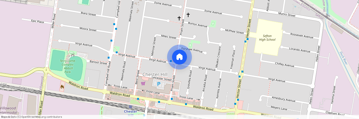 122 Virgil Avenue, NSW 2162, Chester Hill