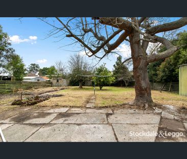 14 Berry Street, Traralgon, Vic 3844 - Photo 4