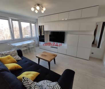 Piła, Śródmieście - Photo 3