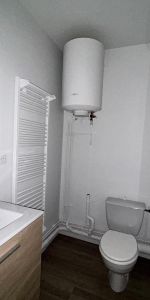 Location Appartement 1 pièce 32m² NANCY 54000 - Photo 3
