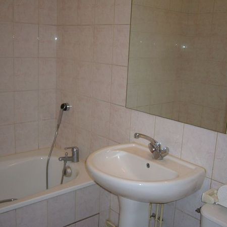 Location Appartement 1 pièce 28m² AVON 77210 - Photo 3