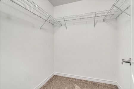 For Lease - 241 Tanglewood Drive, Hamilton, Ontario - Photo 5