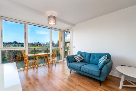 Weavers Hall, Levmoss Park, Leopardstown, Dublin 18, D18 F896 - Photo 4