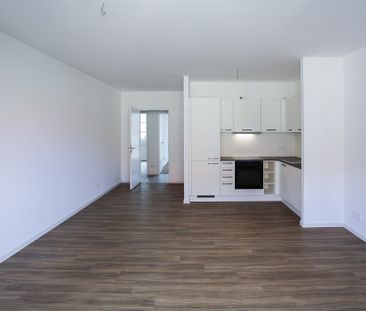 Wohnung mit zwei Balkonen - 3 Zimmer für Komfortliebhaber *Bezug ab... - Foto 1