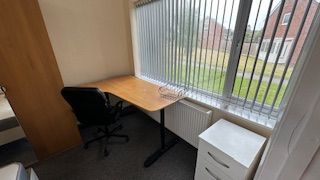 Cloud Green - Photo 5