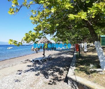 Διαμέρισμα για ενοικίαση Αχλαδές - Άγιος Νικόλαος (Δαφνούσες) - Φωτογραφία 6