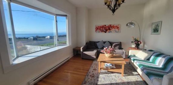 Oceanview Living on Dallas Road – 2 Bed, 1 Bath - Photo 2