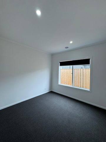 355B Centre Road, Berwick VIC 3806 - House For Rent | Domain - Photo 4