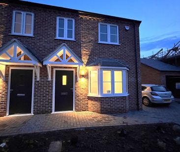 Hollyhock Walk - Photo 6