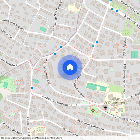 Chemin des Oisillons 19, 1009, Pully