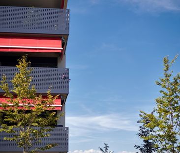 Geräumige Attika-Wohnung - Photo 5
