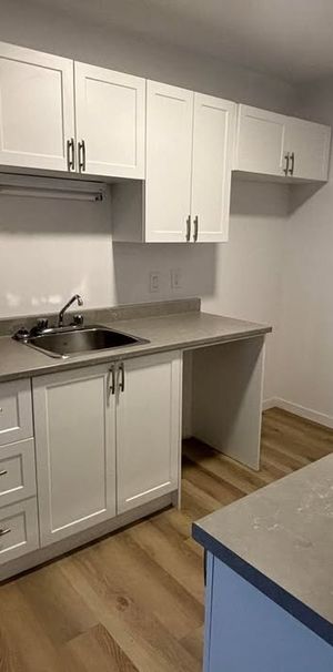 BEAU 4½ |MONTE-CHARGE|THERMOPOMPE - Photo 1