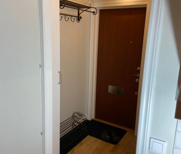 Jungfrudansen, Solna - Foto 5