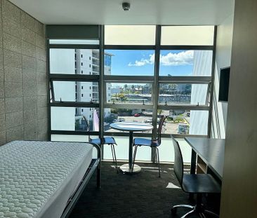 Central Auckland Studio Apartment! - Photo 5