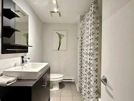 Superbe Condo situé dans le vieux-Montréal, complètement meublé et tout inclus. - Photo 2