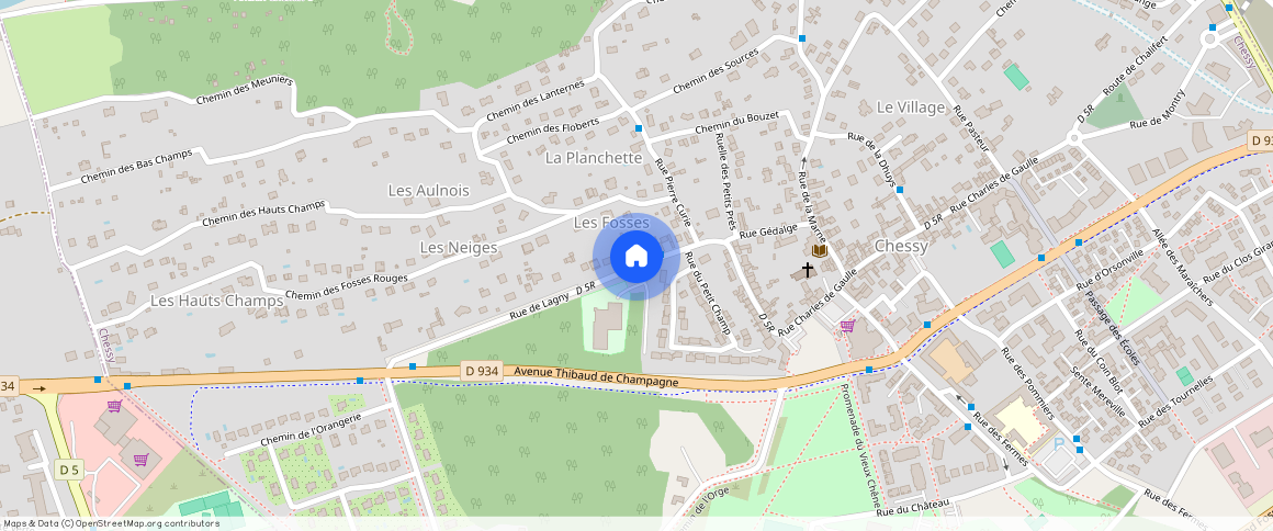 SEINE-ET-MARNE (77), - ILE-DE-FRANCE, CHESSY (77700)