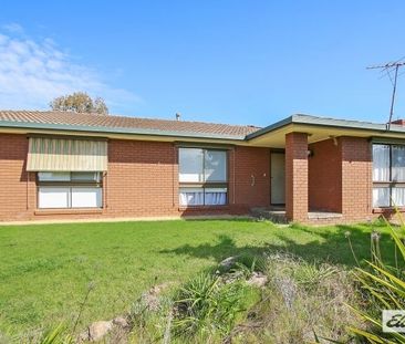 Space for all! - Photo 1