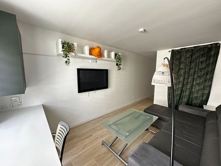 Location Appartement 1 pièce 19m² - Photo 2