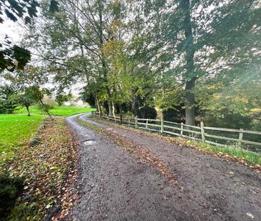 3 bedroom detached bungalow to rent - Photo 6