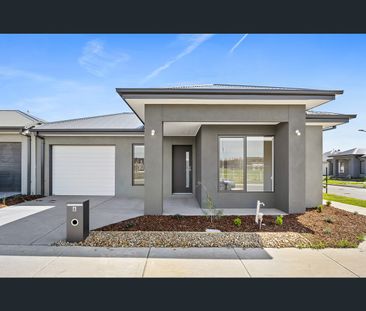 6 Whitworth Road, Berwick, Vic 3806 - Photo 4